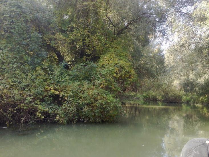Стара Некрасівка з panoramio.com - Стара Некрасівка