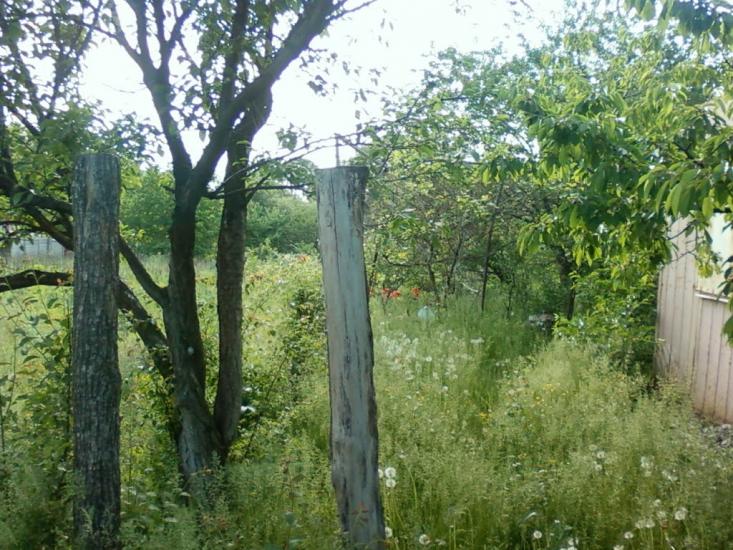 Дергачі з panoramio.com - Дергачи