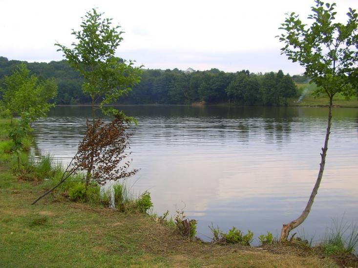 Середнє з panoramio.com - Середнє