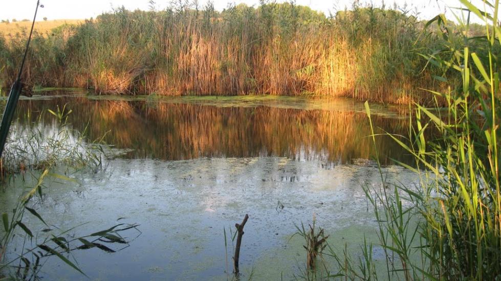 Свердловське з panoramio.com - Свердловське