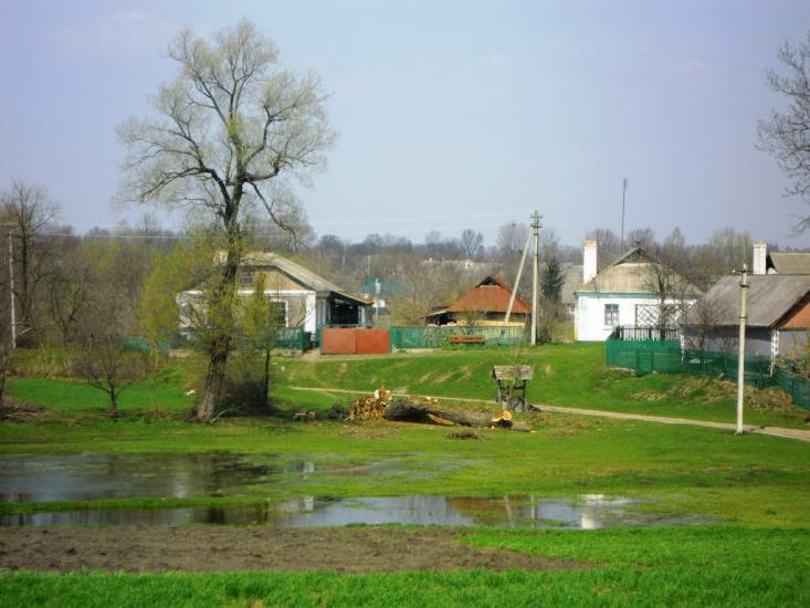Сальниця з panoramio.com - Сальниця