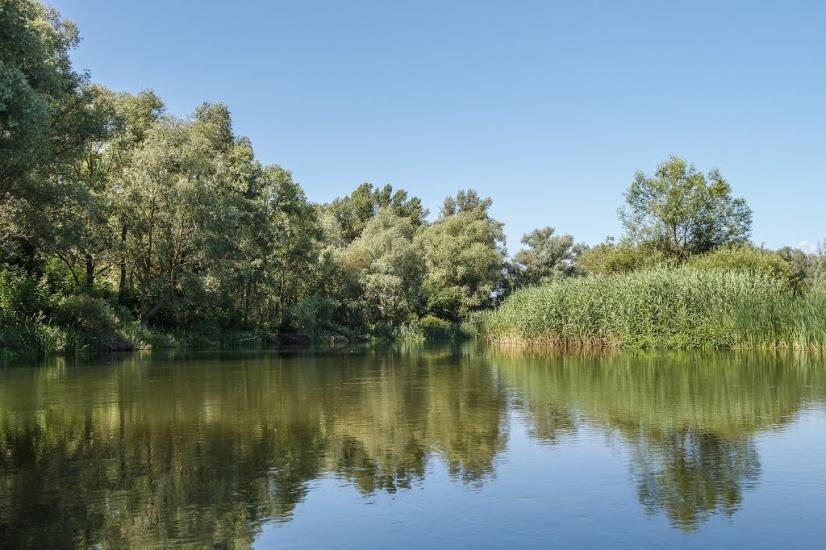 Таганка з panoramio.com - Таганка