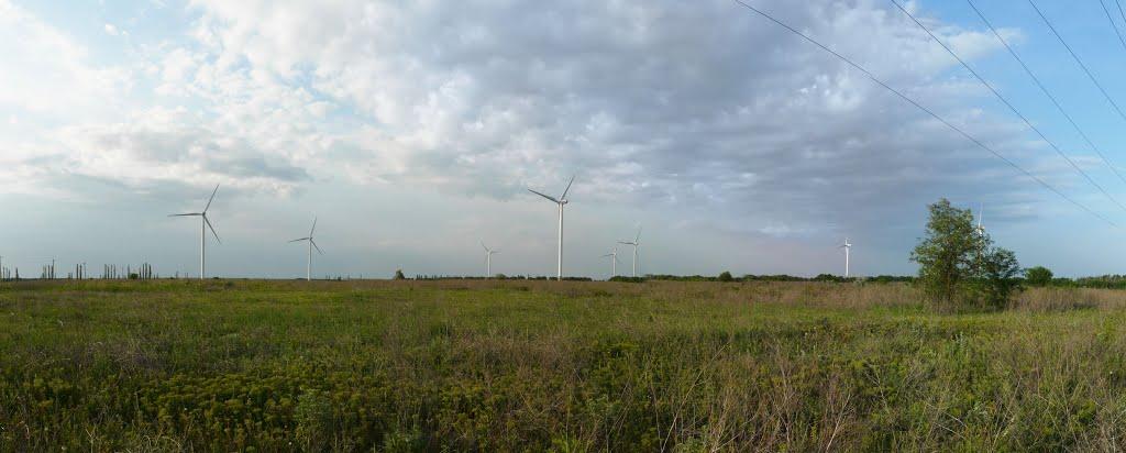 Солончаки з panoramio.com - Solonchaky