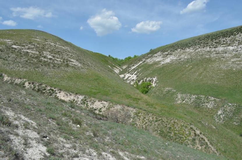 Білокузьминівка з panoramio.com - Білокузьминівка