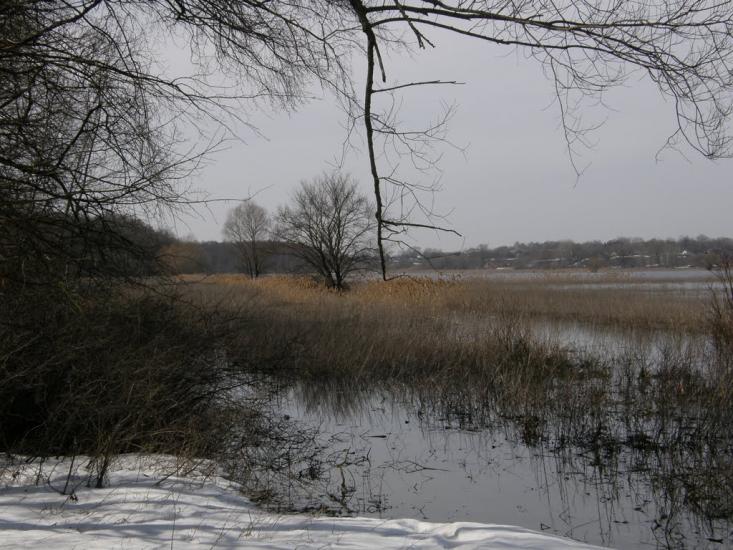 Заріг з panoramio.com - Зарог