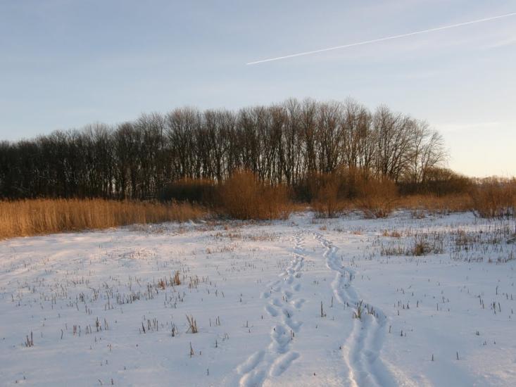 Оржиця з panoramio.com - Orzhytsya