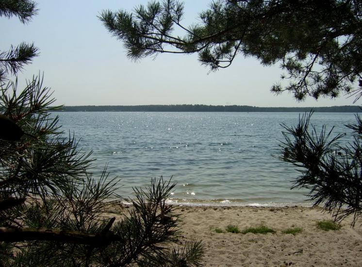 Мельники з panoramio.com - Мельники