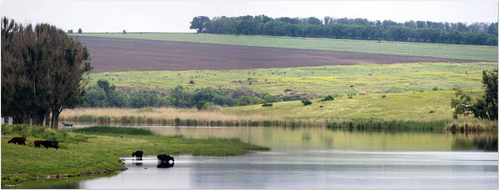 Лозуватка з panoramio.com - Лозоватка
