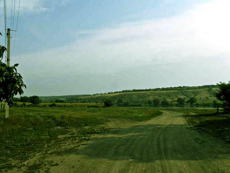 Ставки з panoramio.com - Ставки