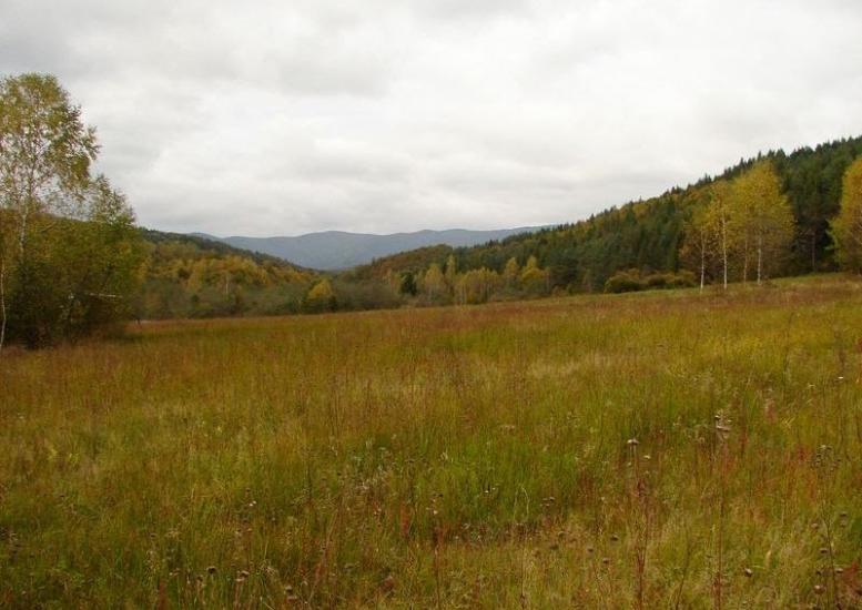 Княгиня з panoramio.com - Княгиня