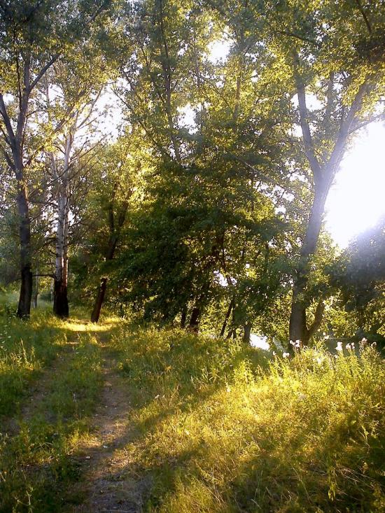 Донецьке з panoramio.com - Донецкое