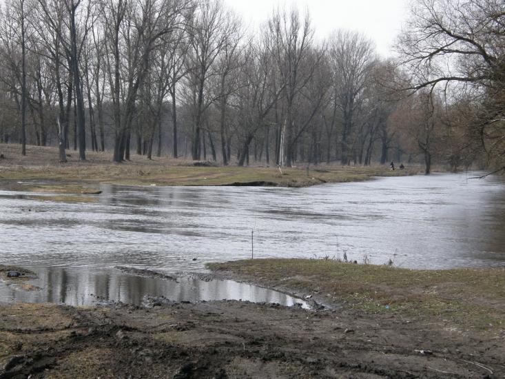 Оржиця з panoramio.com - Оржица
