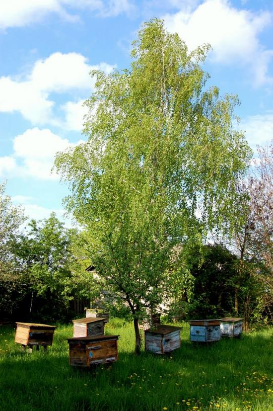 Кинашів з panoramio.com - Кинашів