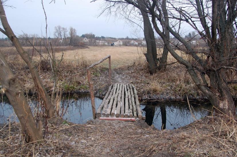 Боровеньки з panoramio.com - Borovenky