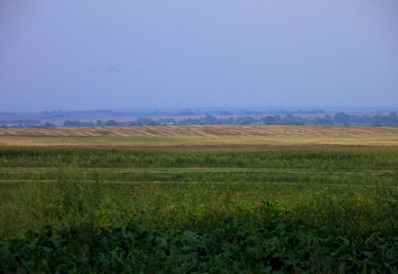Лаврів з panoramio.com - Лавров