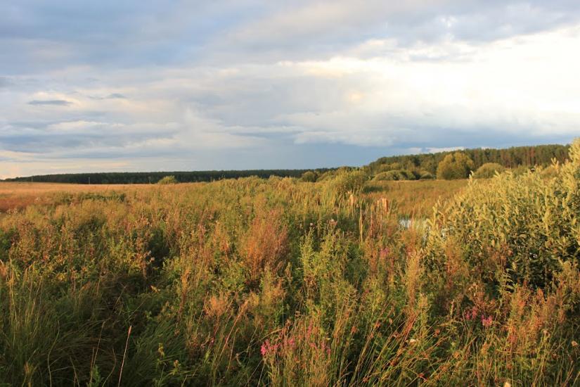 Хоробичі з panoramio.com - Хоробичі