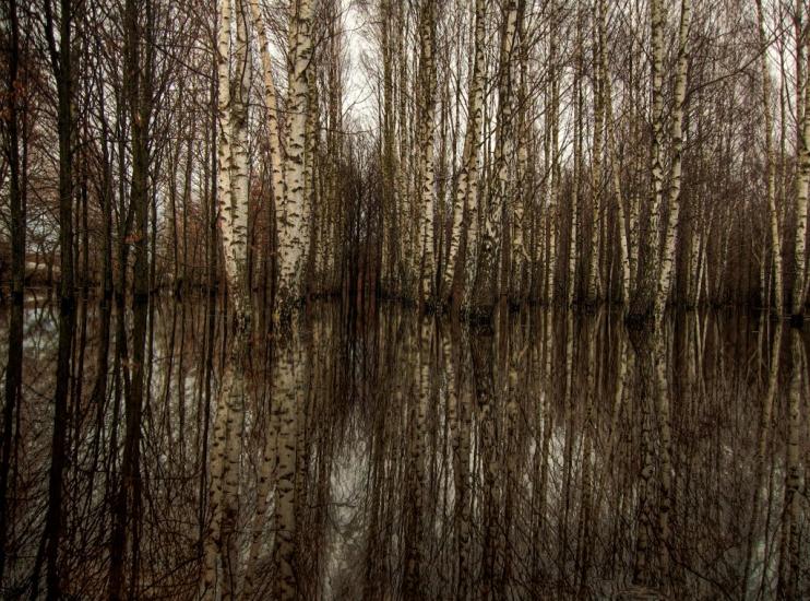 Березне з panoramio.com - Berezne