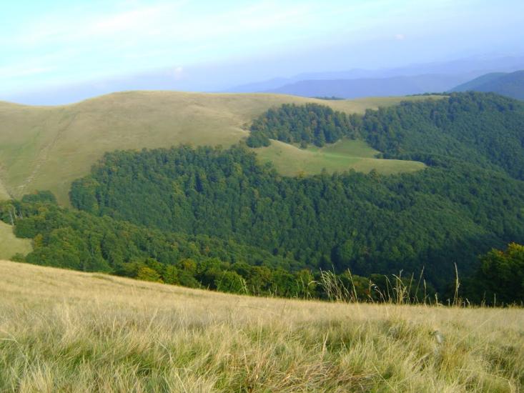 Красна з panoramio.com - Красна