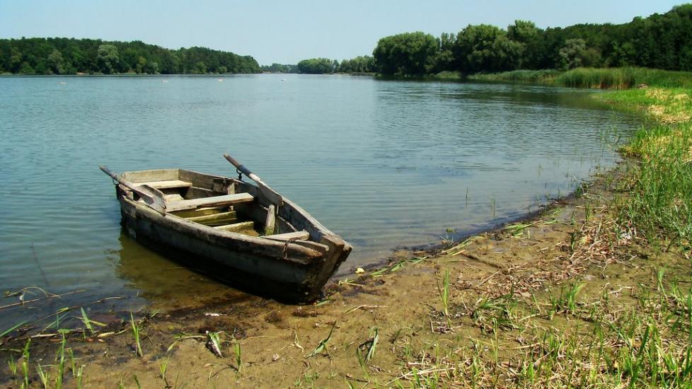 Неморож з panoramio.com - Неморож