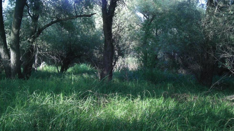 Яськи з panoramio.com - Яськи
