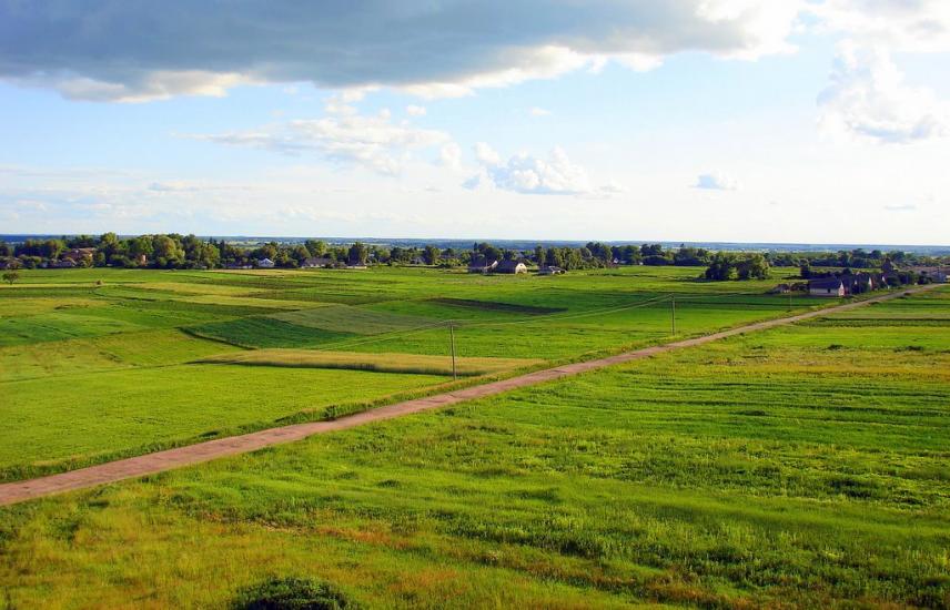 Литвиновичі з panoramio.com - Литвиновичи