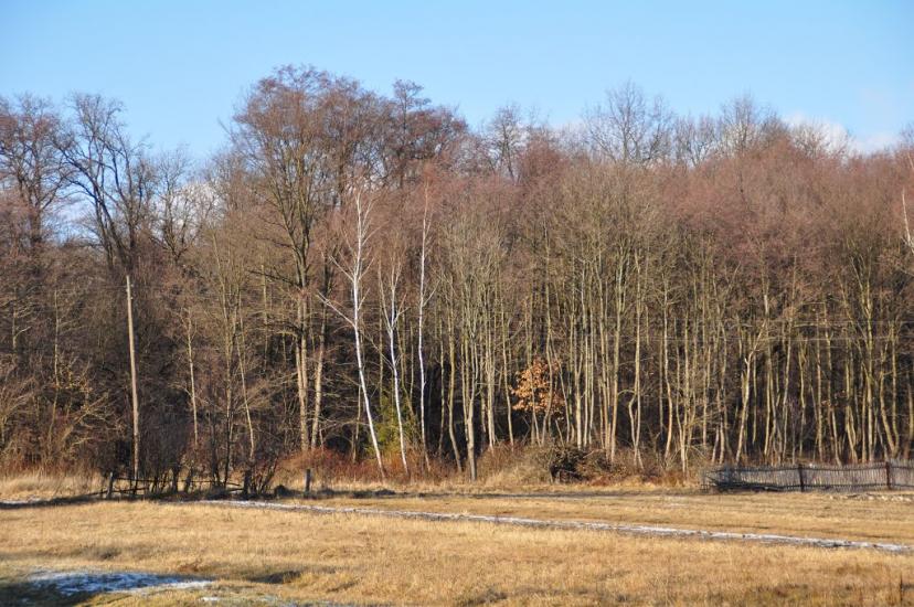Раківчик з panoramio.com - Rakivchyk