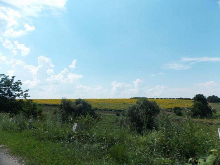 Ярмолинці з panoramio.com - Ярмолинці