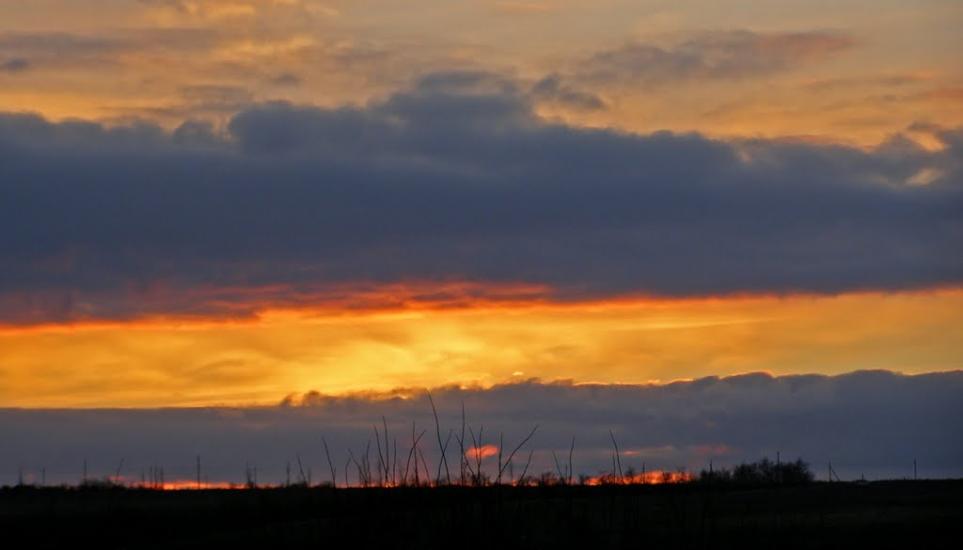 Олег з panoramio.com - Oleg