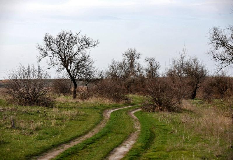 Мала Тернівка з panoramio.com - Mala Ternivka