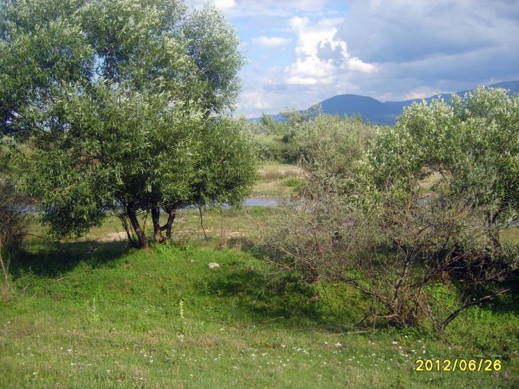 Буштино з panoramio.com - Буштыно