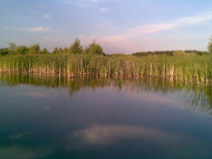 Римачі з panoramio.com - Римачі