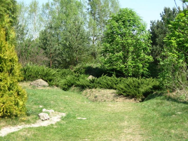 Березне з panoramio.com - Berezne