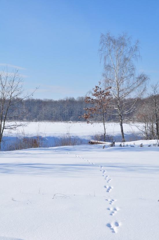 Раківчик з panoramio.com - Rakivchyk