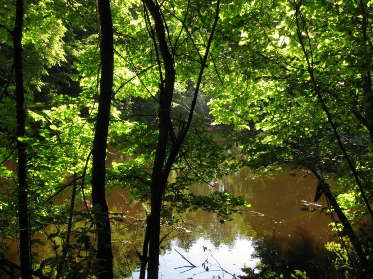 Побірка з panoramio.com - Поборка