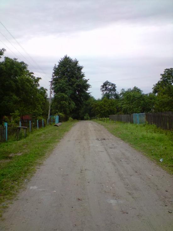 Нижня Вовча з panoramio.com - Нижня Вовча