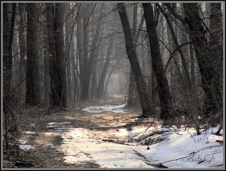 Шкарівка з panoramio.com - Шкаровка