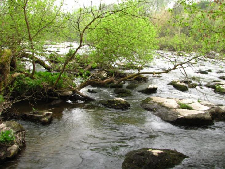 Думенки з panoramio.com - Думенки
