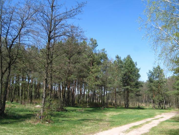 Стригани з panoramio.com - Стриганы