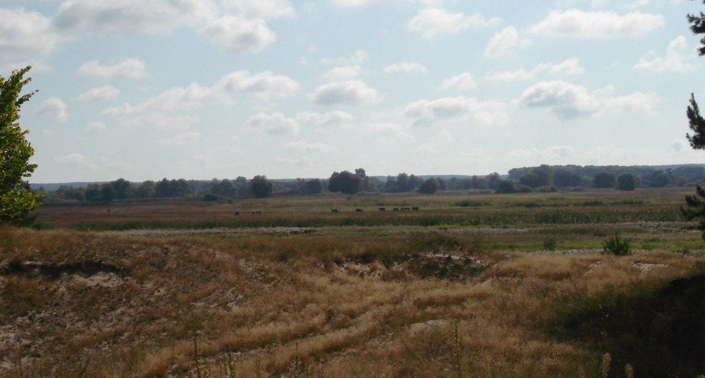 Сувид з panoramio.com - Сувид