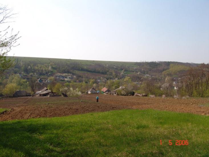 Борщівці з panoramio.com - Борщівці