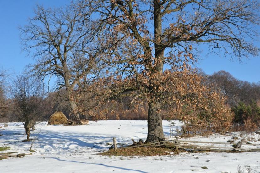 Стоки з panoramio.com - Стоки