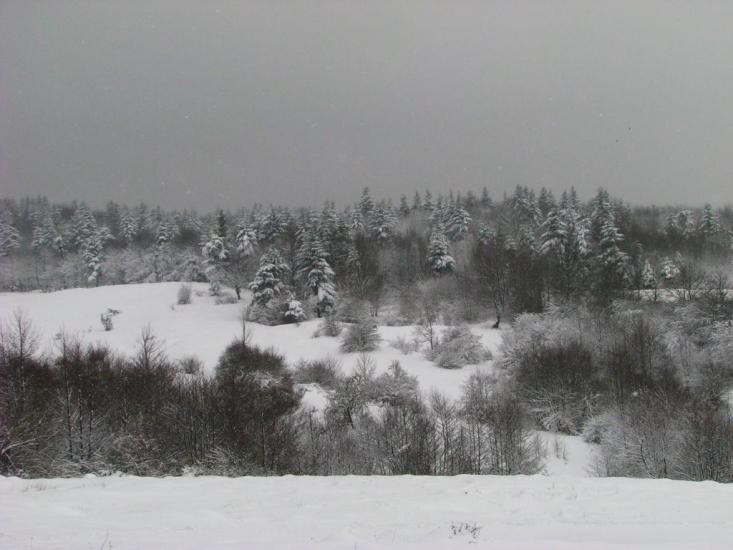Підмихайля з panoramio.com - Подмихайло