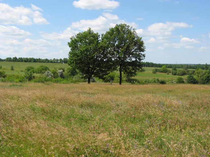 Вільшани з panoramio.com - Ольшаны