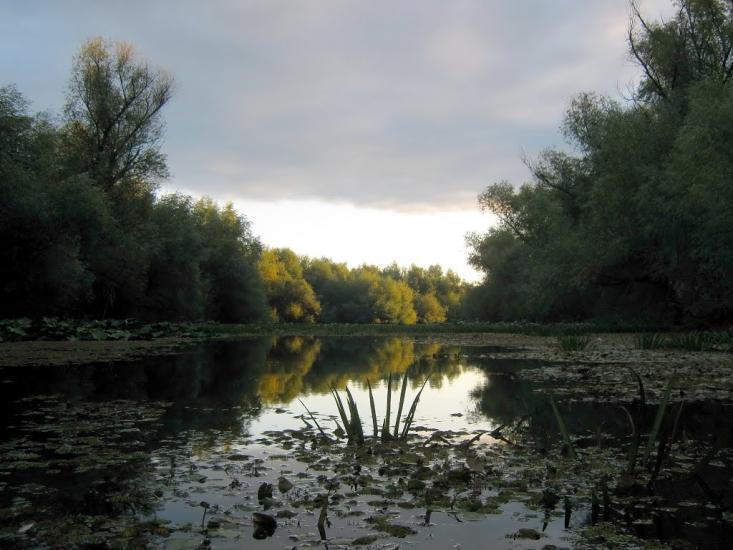 Новосільське з panoramio.com - Novosilske