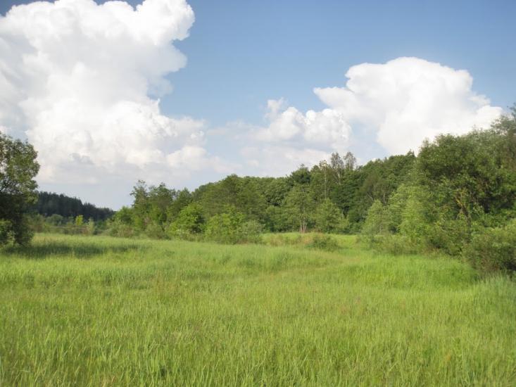 Олевськ з panoramio.com - Олевск