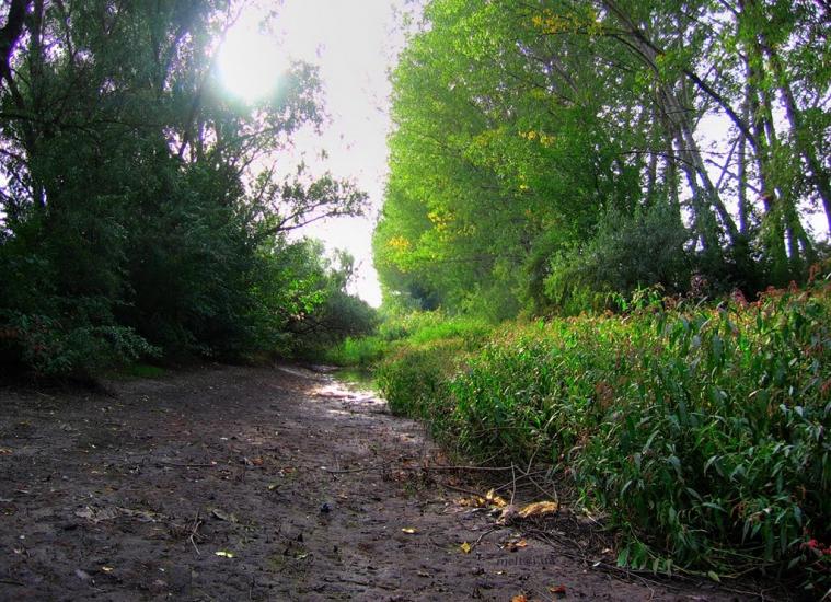 Степанівка з panoramio.com - Степанівка