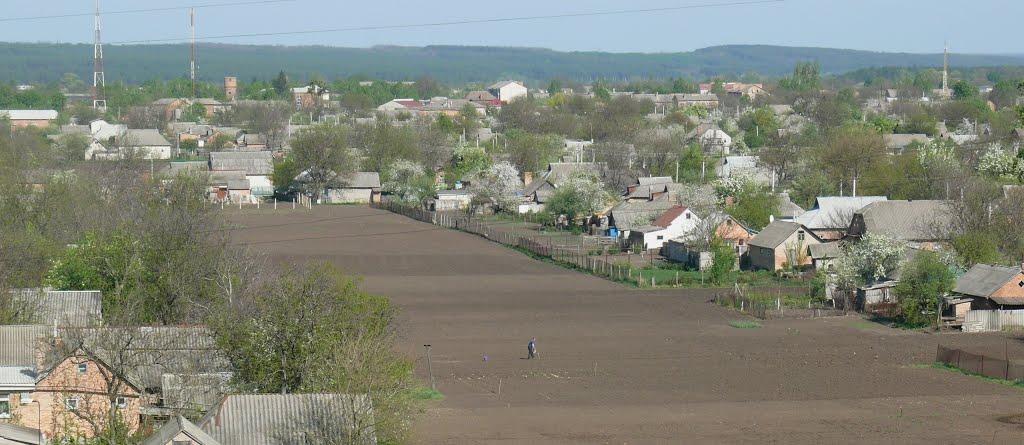 Олександрівка з panoramio.com - Олександрівка