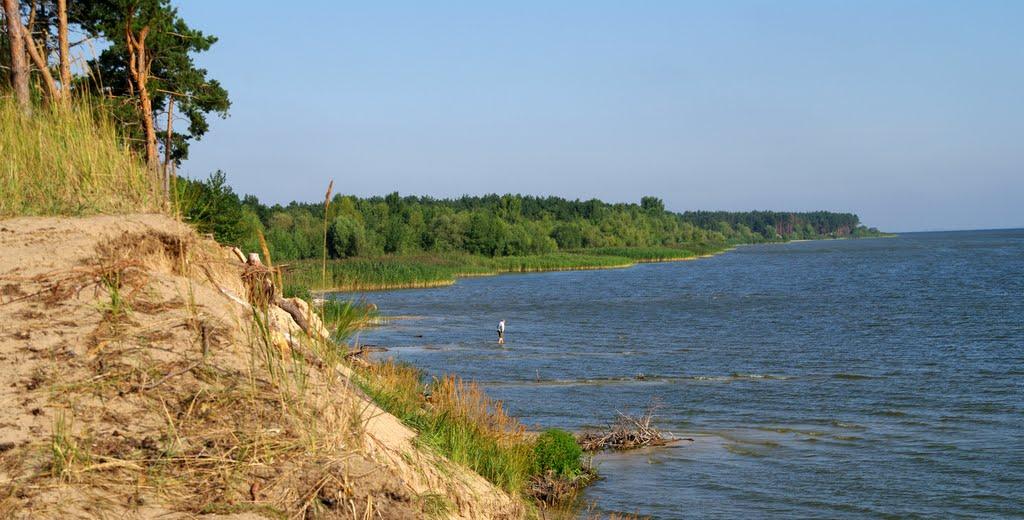 Бабичівка з panoramio.com - Бабичівка