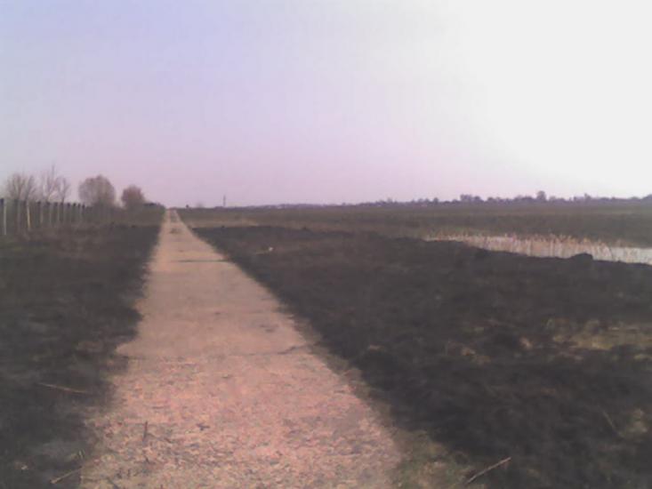 Велика Омеляна з panoramio.com - Велика Омеляна