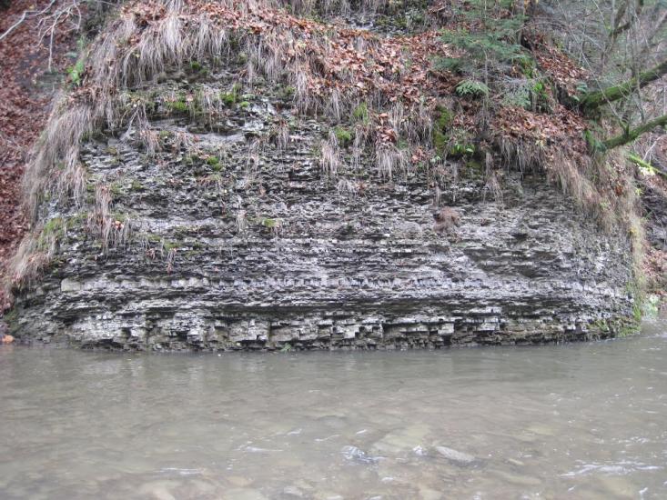 Костринська Розтока з panoramio.com - Костринська Розтока